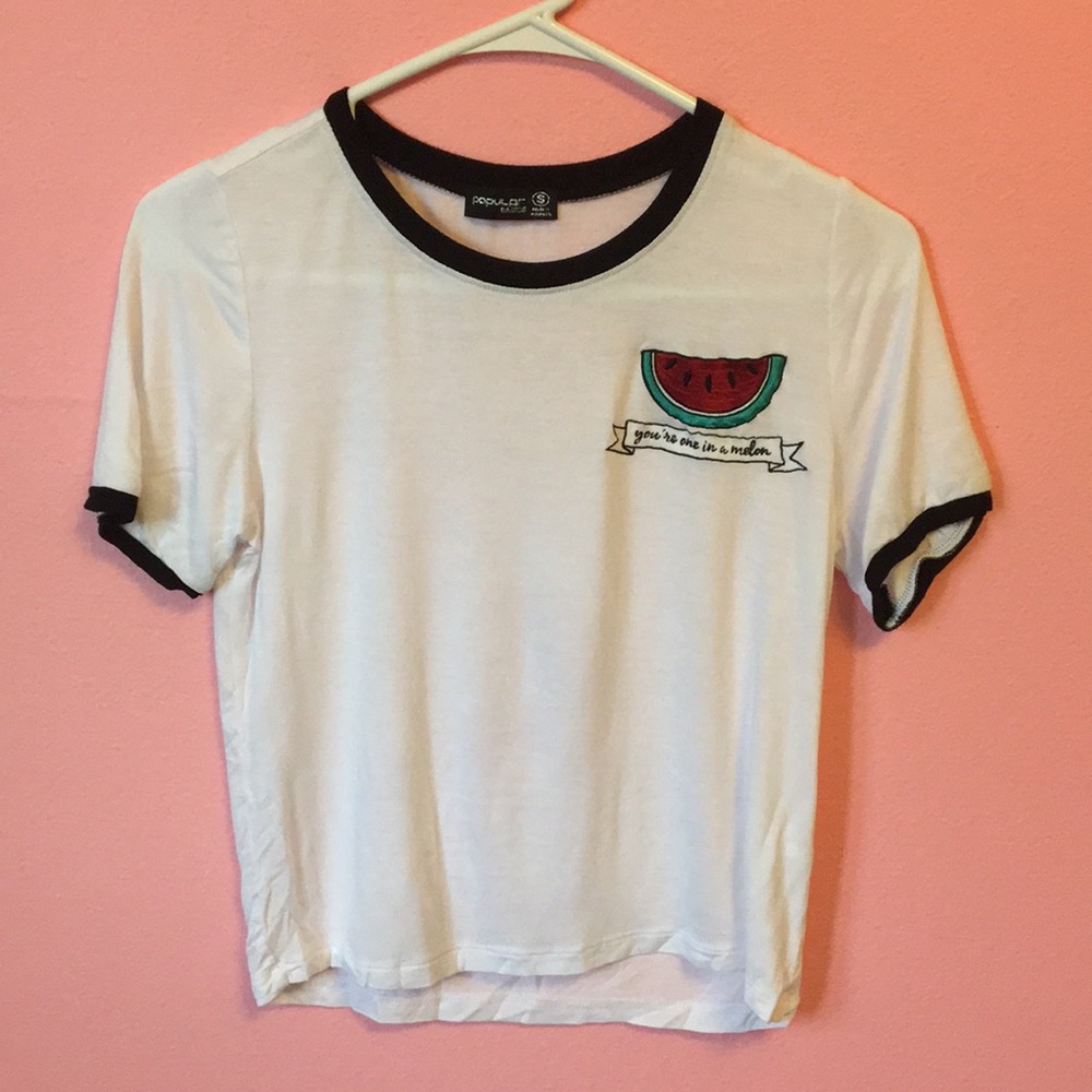 *SPRING SALE* 🍉 watermelon embroidered crop tee
